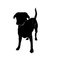 Bad Dog Distillery logo - Similar company to Exception Cnc