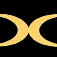 Desai Consultants logo - Similar company to Parth Desai & Co.