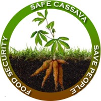 Safe Cassava logo - Similar company to Fms Farms