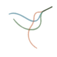 Hummingbirds Global