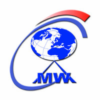 consulting management world logo - Similar company to Genielab.