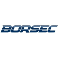 BORSEC logo - Similar company to Phoenixy
