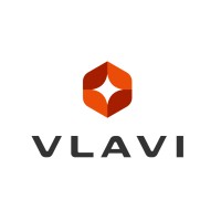 VLAVI Group logo - Similar company to Devternity