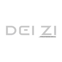 DEI ZI