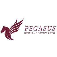 Pegasus Utility Services LTD logo - Similar company to Pegasus Utility Services Ltd