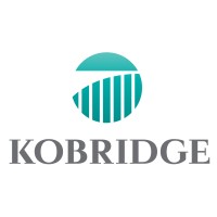 Kobridge logo - Similar company to N42 International