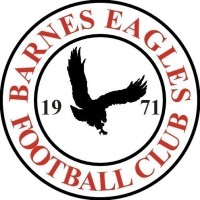 Barnes Eagles Football Club logo - Similar company to Sporting Duet Academy