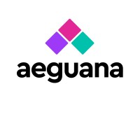 aeguana logo - Similar company to Bitstocks