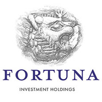Fortuna Investment Holdings logo - Similar company to Steering Commerce Llc