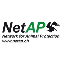 NetAP - Network for Animal Protection logo - Similar company to Movethedate Switzerland