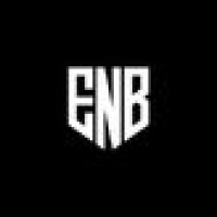 Nabulaniero logo - Similar company to Nebula Capital Llp