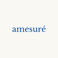 Amesure Studio logo - Similar company to Breinit