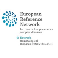 ERN-EuroBloodNet (European Reference Network on Rare Hematological Diseases) logo - Similar company to European Sickle Cell Federation (Escf)