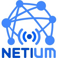NETIUM logo - Similar company to Epic Júnior