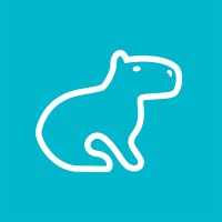 Capybara logo - Similar company to Capybara Seo