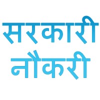 Naukri logo - Similar company to Fluqa Marketing Agency