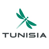 Cloud Temple Tunisia logo - Similar company to Cloud Temple