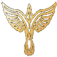 Aras Global Inc logo - Similar company to Aras Nyon