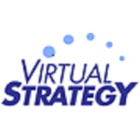 Virtual Strategy Inc logo - Similar company to Dethwench Professional Services