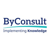 Byconsult logo - Similar company to Canvas For Consulting And Business Development