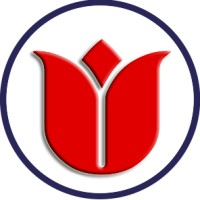 Istanbul Virtual Airlines logo - Similar company to Rey Airlines