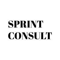 Sprint Consult logo - Similar company to Sprint Consulting