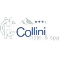 Hotel Collini logo - Similar company to Workness