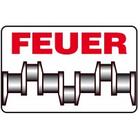 FEUER powertrain North America, Inc. logo - Similar company to Wolfteq S&T