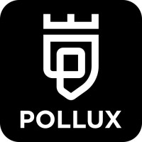 Pollux Wealth Management logo - Similar company to Dynamo Capital