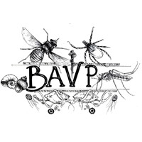 British Association of Veterinary Parasitology logo - Similar company to Veterinary Parasitology
