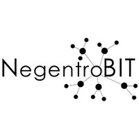 NegentroBit logo - Similar company to Stellar