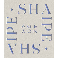 Shaipe Agency logo - Similar company to Work From Home Consulting
