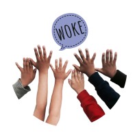 Woke Kindergarten, LLC logo - Similar company to Conscious Pathways