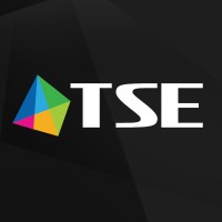 TSE Grupa Sp. z o.o logo - Similar company to Ves