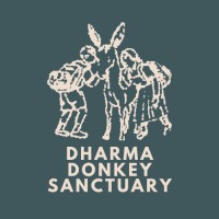 Dharma Donkey Sanctuary (DDS) logo - Similar company to Durham Donkey Rescue