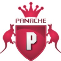 Panache Immigration And Education Consultant Pvt Ltd