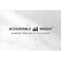 Accountable Insights logo - Similar company to It Rats Tech Solutions