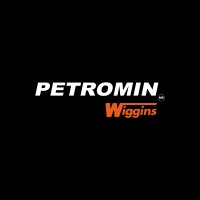 Petromin logo - Similar company to Emerson Technologies Inc
