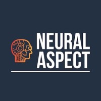 Neural Aspect logo - Similar company to Cloudapps