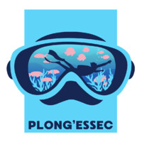 Plong'ESSEC logo - Similar company to Data Oriented Thinking - Essec | Centrale Supélec