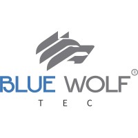 BLUE WOLF TECNOLOGIA logo - Similar company to A