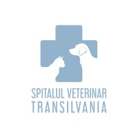 Spitalul Veterinar Transilvania logo - Similar company to All4Joy - Școală / Grădiniță / Creșă / After School