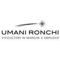 AZIENDA VINICOLA UMANI RONCHI - S.P.A. logo - Similar company to Moncaro