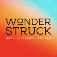 Wonderstruck logo - Similar company to Wonderstruck