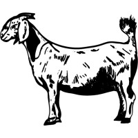 ONGUZA logo - Similar company to Turipamwe