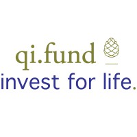 qi.fund logo - Similar company to Quantrust Investments