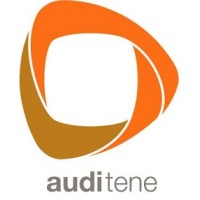 Auditene - Projectos e Auditorias Energéticas logo - Similar company to Iperforma