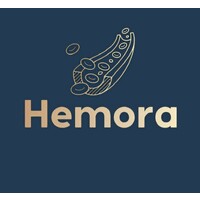 Hemora logo - Similar company to Bitter Kola Studio