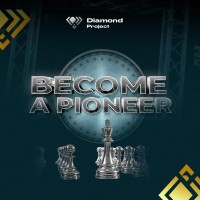 DIAMOND PROJECT logo - Similar company to Diamond Project Africa