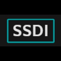 SSDataInfo logo - Similar company to Millennial Informatics